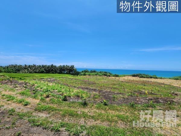 💥獨家專售台東長濱樟原部落走路到海邊資材室美地