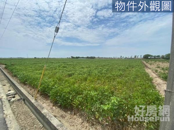 新港8米路大面寬俗農地🌳