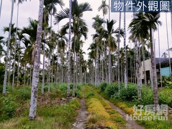 內埔近東勢國小大坪數一般農業地