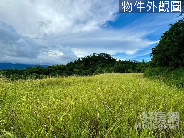 🌸壽豐193瞭望花東縱谷走步道袋地⛰️