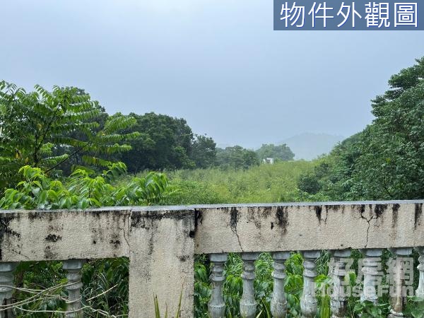 "真便宜"竹山鎮公所附近1800坪漂亮農地