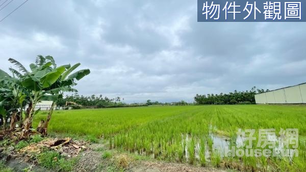 屏東萬丹⭐有水有電臨路方正農地