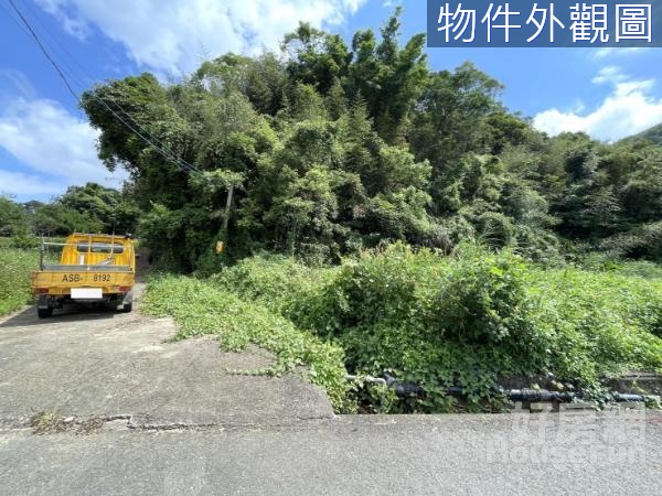 台三線臨路大面寬極美建地