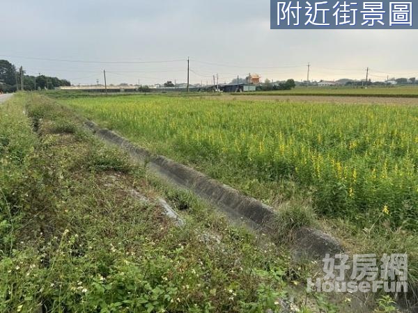 嘉義住商一銀 白河雙面臨路美農地 近水上市區