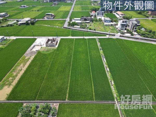 礁溪抹茶山下鄰近省道,具投資潛力足坪美農地