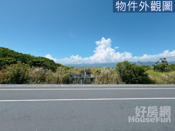 壯圍濱海公路上大面寬足坪方正農地