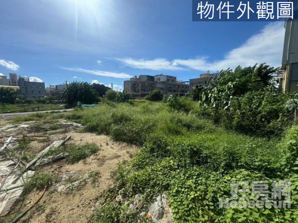 安定蘇厝臨興農路大坪數好規劃建地