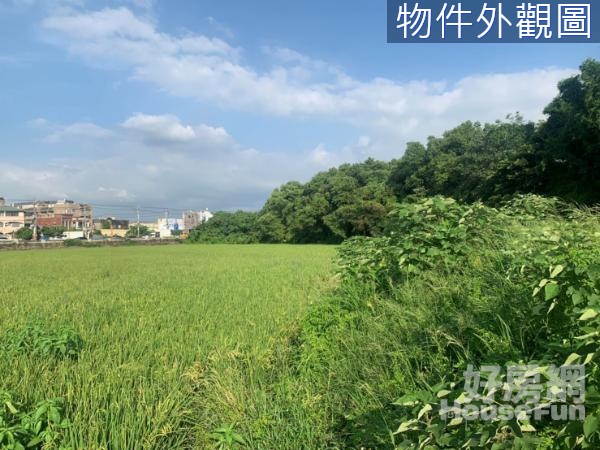 南竹段捷運綠線徵收地II