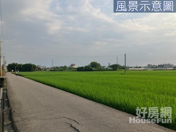 員林員埔路旁美田地..