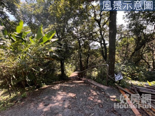 汐碇路旁隱居山中美景開心大農場(一)