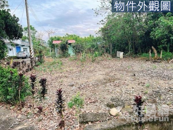 獨家強銷瑞穗舞鶴雙面臨路95坪建地UE485