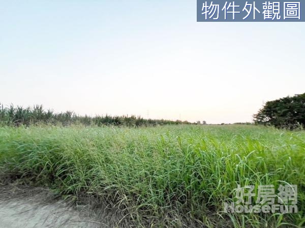 麻豆近善化烏橋中路3.48分農地