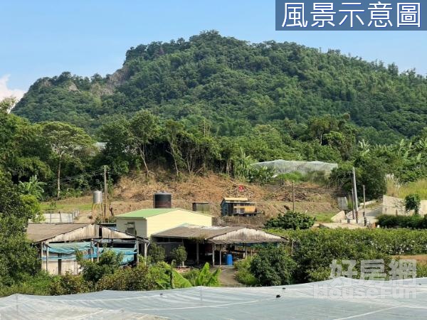 燕巢援巢中段臨路山坡保育農牧用地