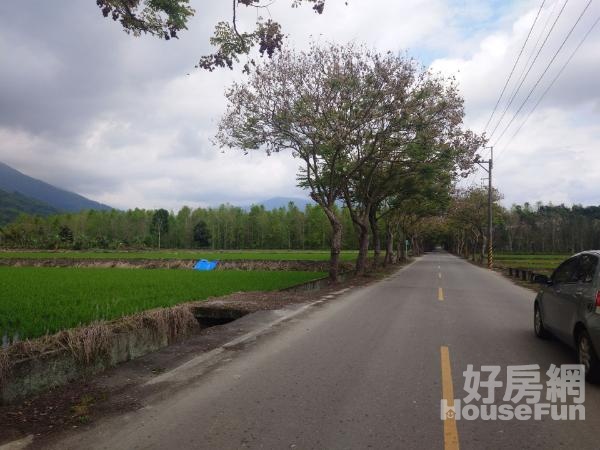 17F鳳林平和路山景悠美農地