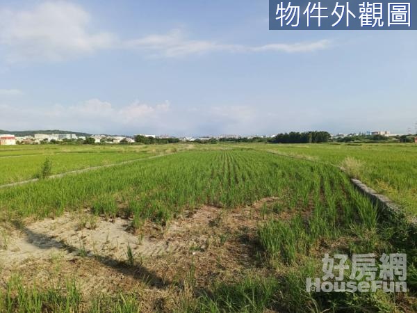 航空城農地變建地