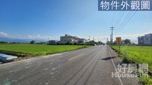 近深洲大道大面寬36M足坪農地