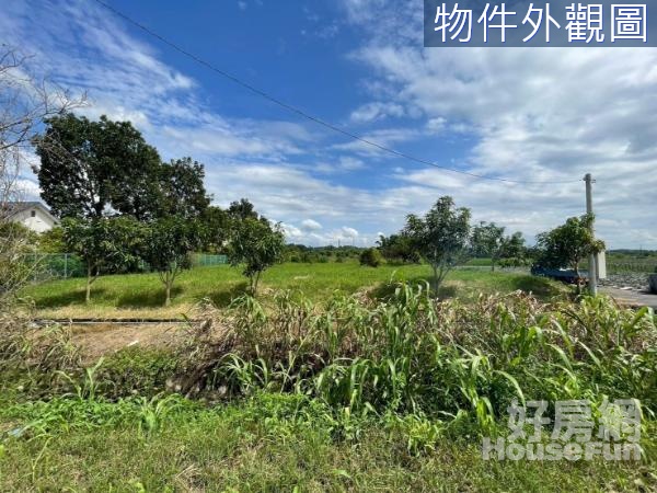 官田近烏山頭水庫臨12米路大面寬農地