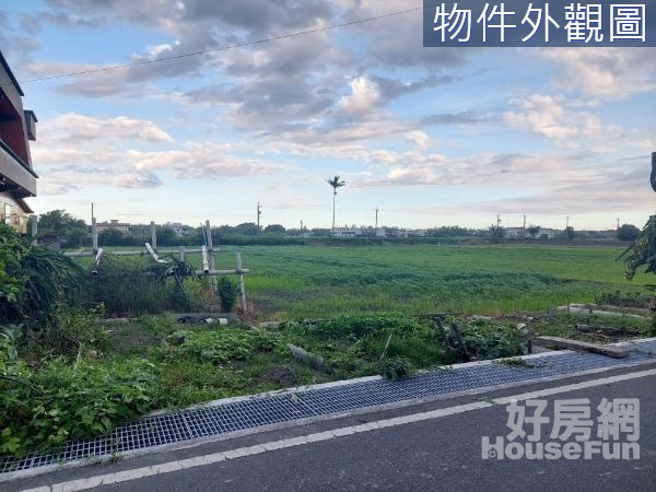 新社21米大面寬田園美景稀有老農配建