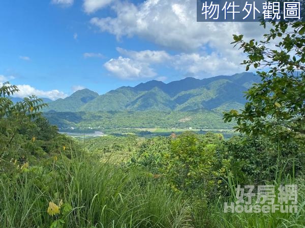 🌿瑞穗鄉~舞鶴美景飽滿柚子果園農地🌿