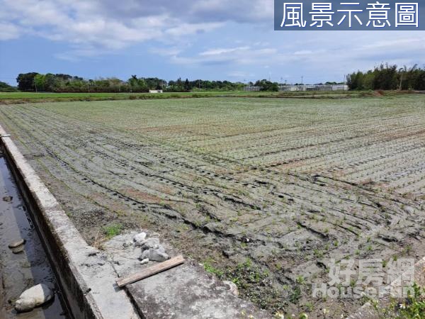 吉安近台九♡面寬路大♡美農地