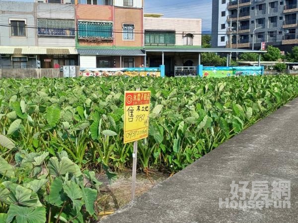 苗市都市計劃內─城市綠地可申請農舍─金龍田