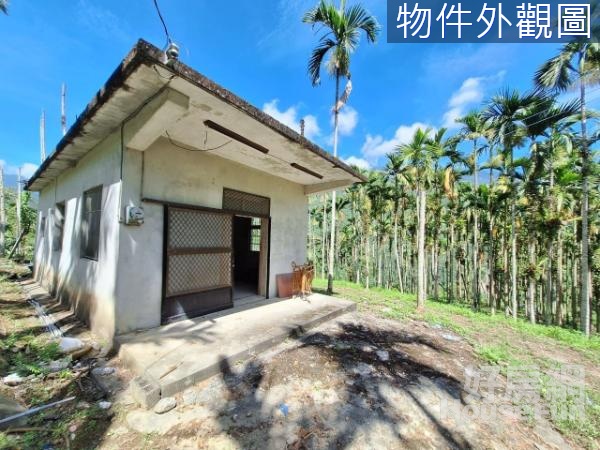 一棟未保登建物＋2000多坪私+破萬坪國有承租地