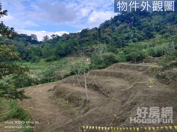 橫山尖筆窩丙建加農地