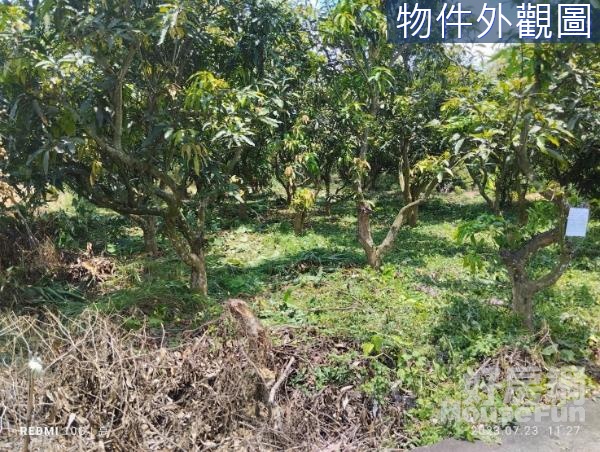 V.彰化芬園低總價芒果果園土地約350坪