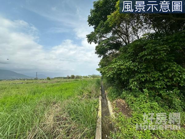 壽豐 花東縱谷微森林山景灌溉農地