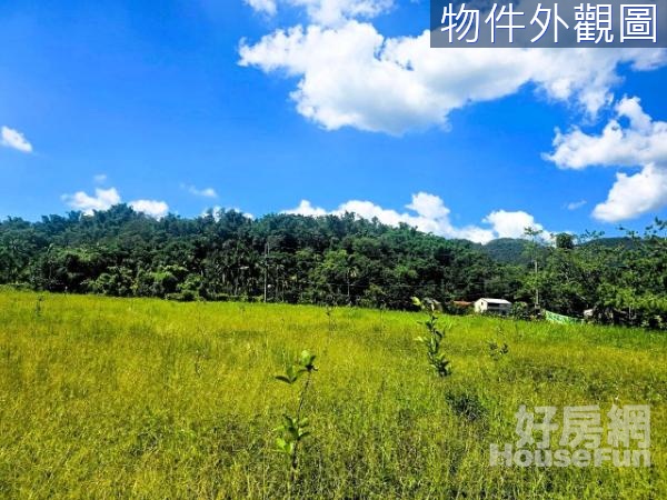 埔里中台禪寺旁農業加工室農牧用地