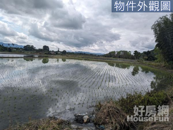 🌿鳳林好客村近市區都內有水源美農地🌿