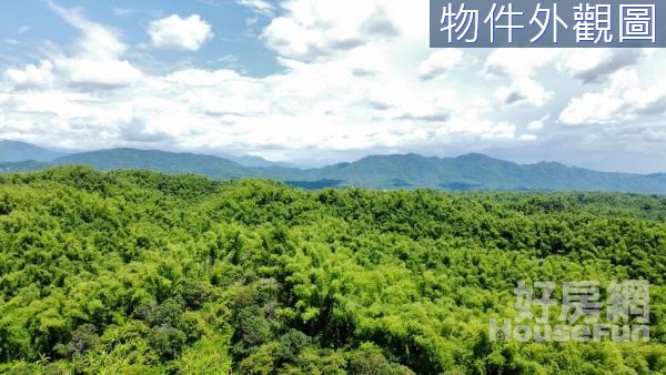 內門20.68甲農農牧及林業山坡保育地