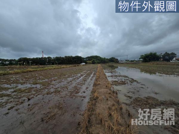 (桃園)新屋近千坪一般農