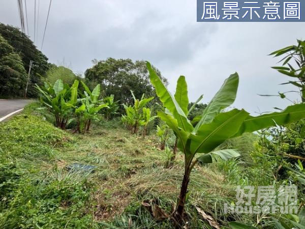 石岡龍興地形方正景觀絕佳鄰路美地