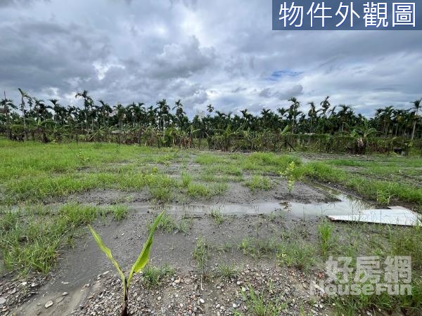 內埔-海尼根啤酒廠旁臨大路邊 漂亮都農