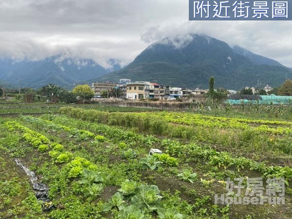 太昌足坪方正翠綠潛力農地14F310