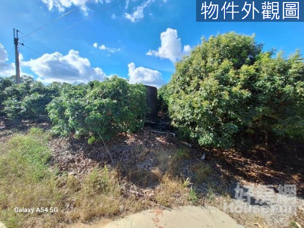 大樹姑山路長型方正農地