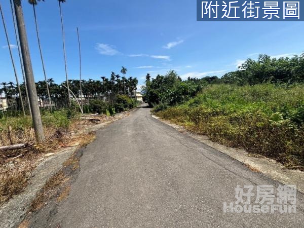 名間近中山國小可蓋多戶花園別墅四面路建地