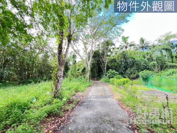 🏕鳳林•近車站＆鳳凰山莊♡低總價雙面路農地🏕