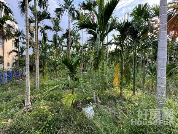 南州米崙村庄旁大面寬方正都計農地