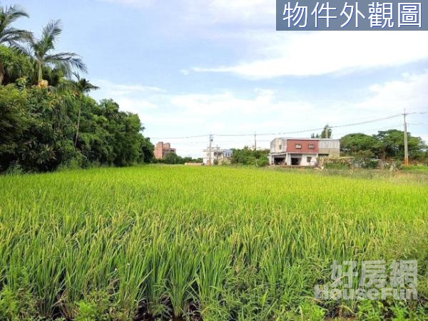 觀音藍埔段蓮花園區農地