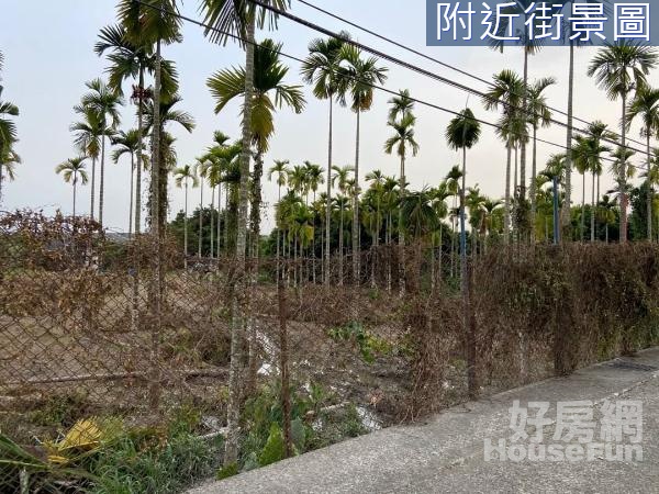 美和科大旁臨20米路上優質農建地