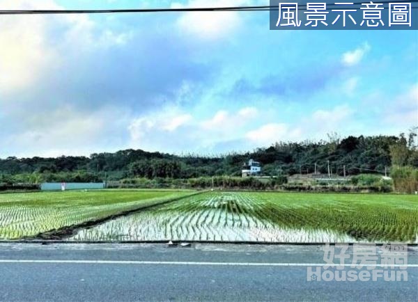 近南隘國小大面寬臨路農地