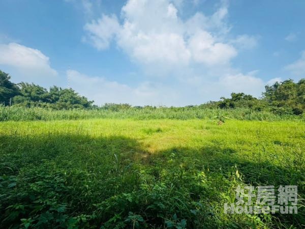 新化近國8優質大面寬免填土有電方正農地