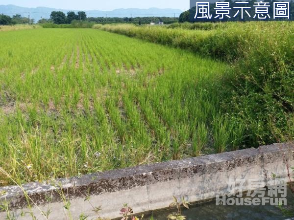 專-壽豐鄉豐南段地形方正優質優質農地15F091