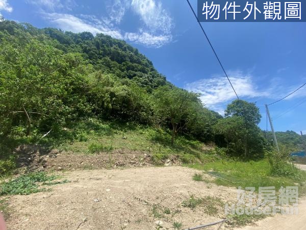 🌱獨家專售-秀林三桟原保山坡地超低價農地