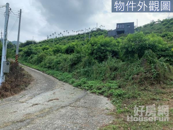 竹山鎮瑞山段果園農地