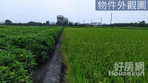 🌱近北斗市區臨路面寬64米方正農地