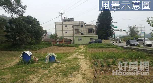 正瑞安路15米路大面寬角農地