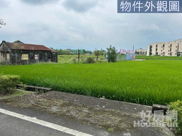 深洲大道農加建地